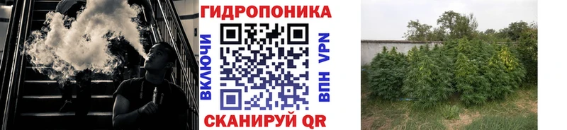 Марихуана конопля Туапсе